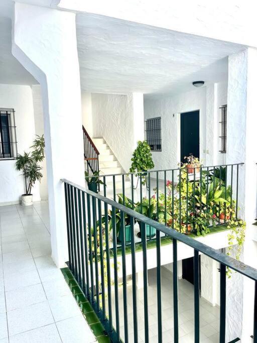 Appartement El Gato Gris Conil De La Frontera